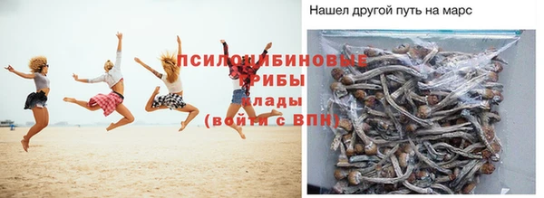 твердый Володарск