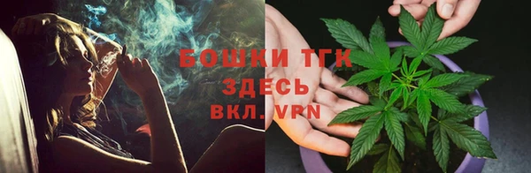 твердый Володарск