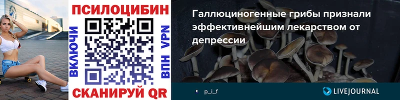 Псилоцибиновые грибы Psilocybe  Любань 